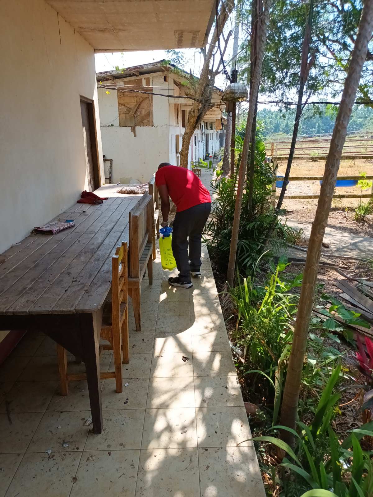 DRAM Pest Control Service