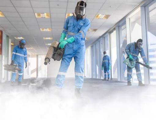 Professional fumigation service