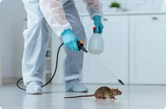 Rodent control service