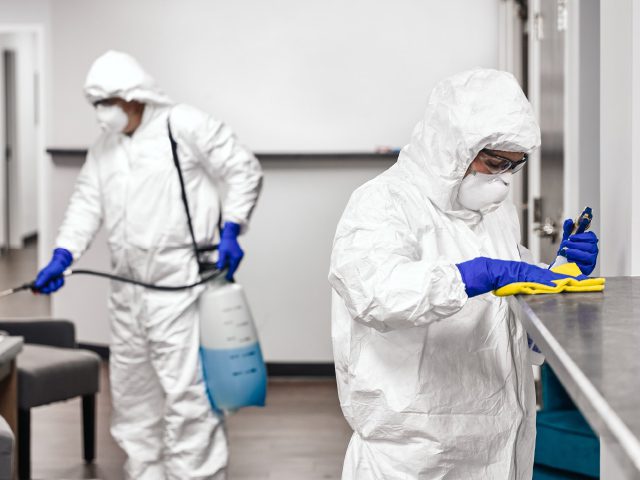Professional disinfection service